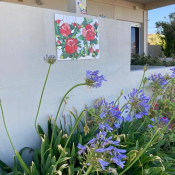 whatsapp image 2025 12 18 at 5.59.36 pm (1)